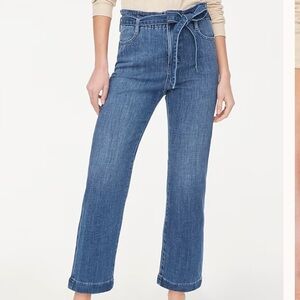 J crew Paper-bag jean